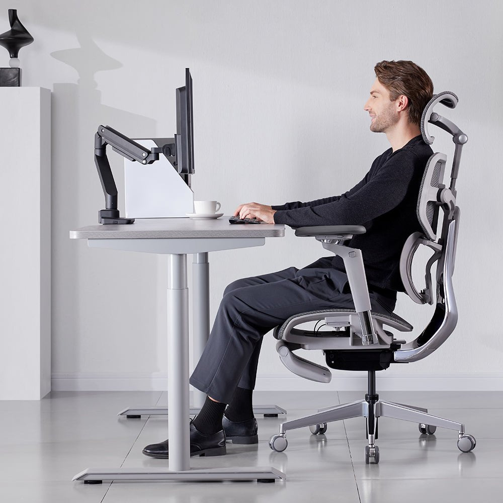 Hinomi S1 Home Office Standing Desk