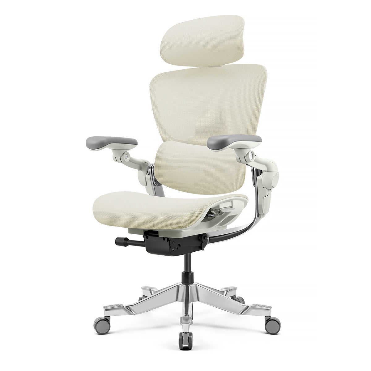 Hinomi H2 Pro Ergonomic Office Chair with Optional Footrest