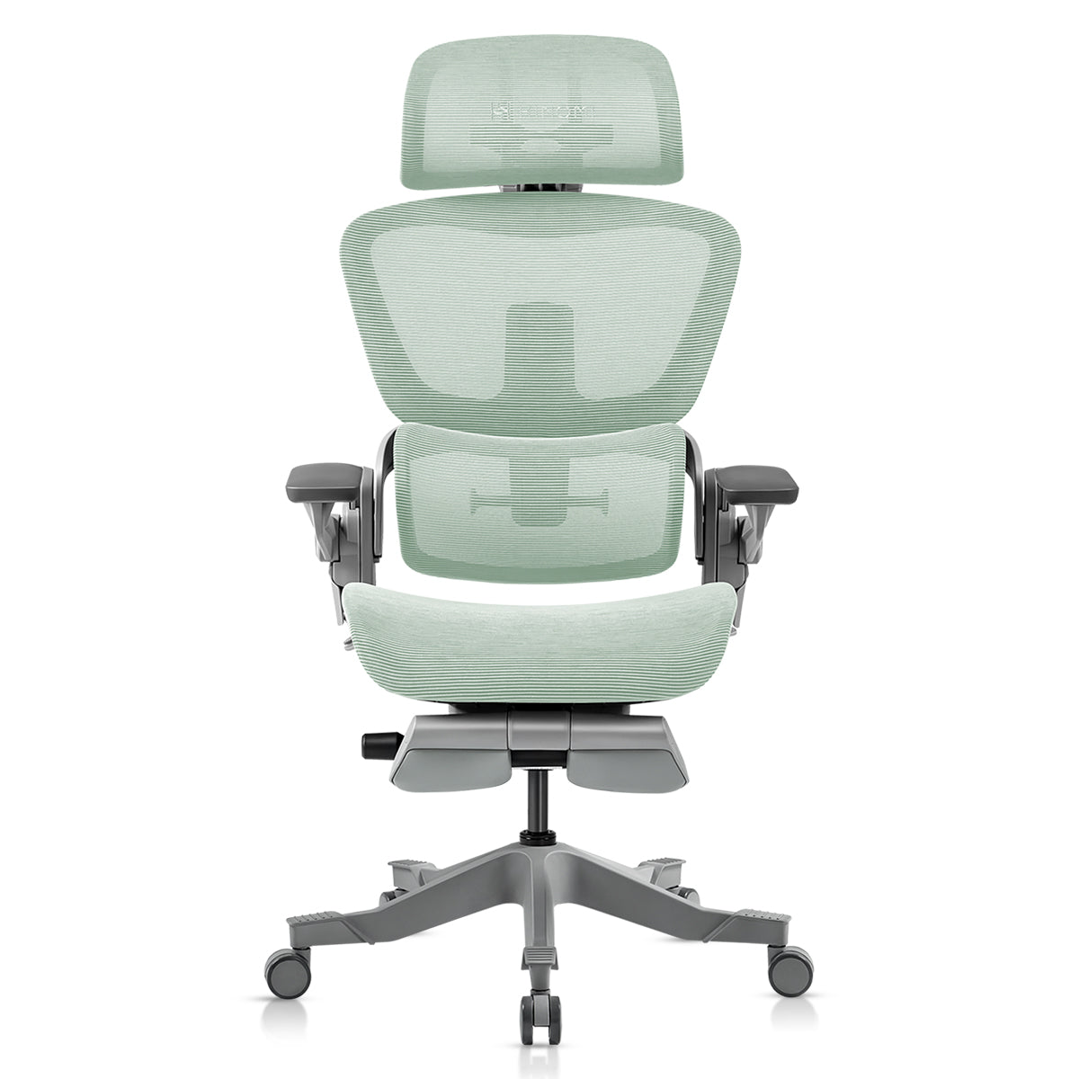 HINOMI H1 Pro V2 Ergonomic Office Chair