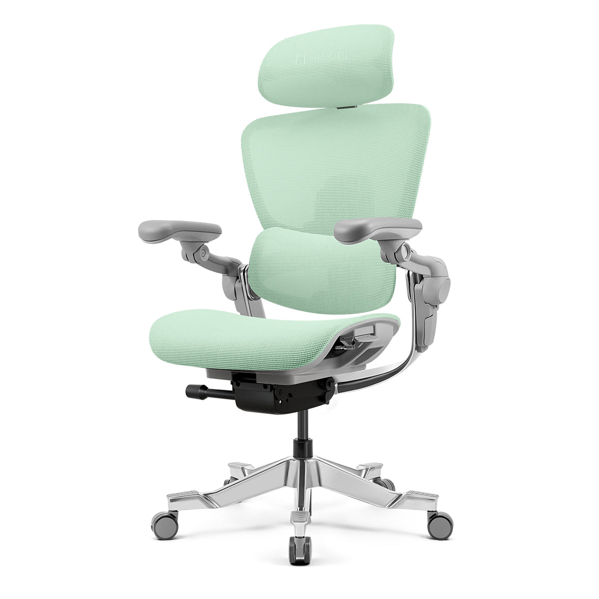 Hinomi H2 Pro Ergonomic Office Chair with Optional Footrest