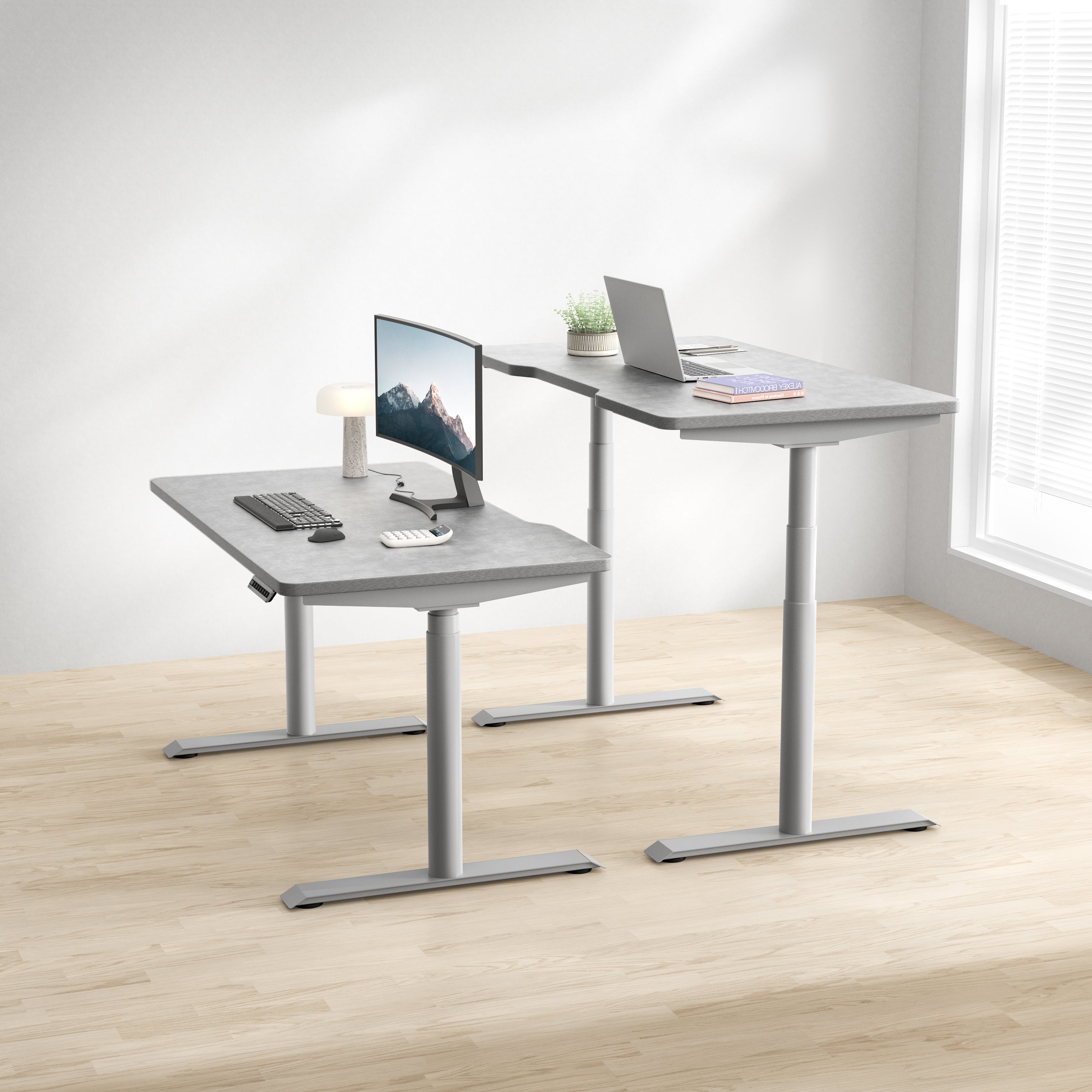 Hinomi S1 Home Office Standing Desk